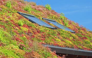 St Catherines Hill living roof systems