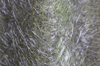 St Catherines Hill fibreglass roof work